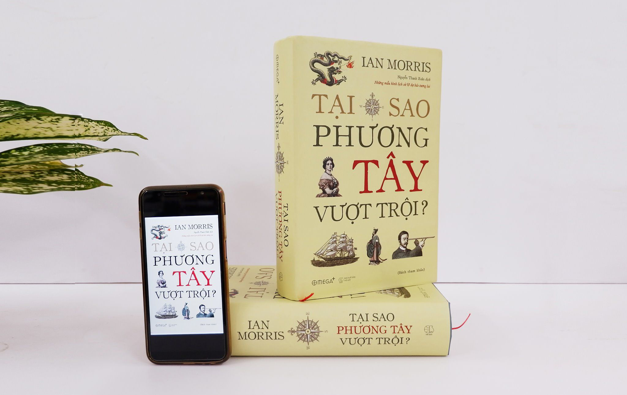 Phân tích dữ liệu phát triển của phương Tây